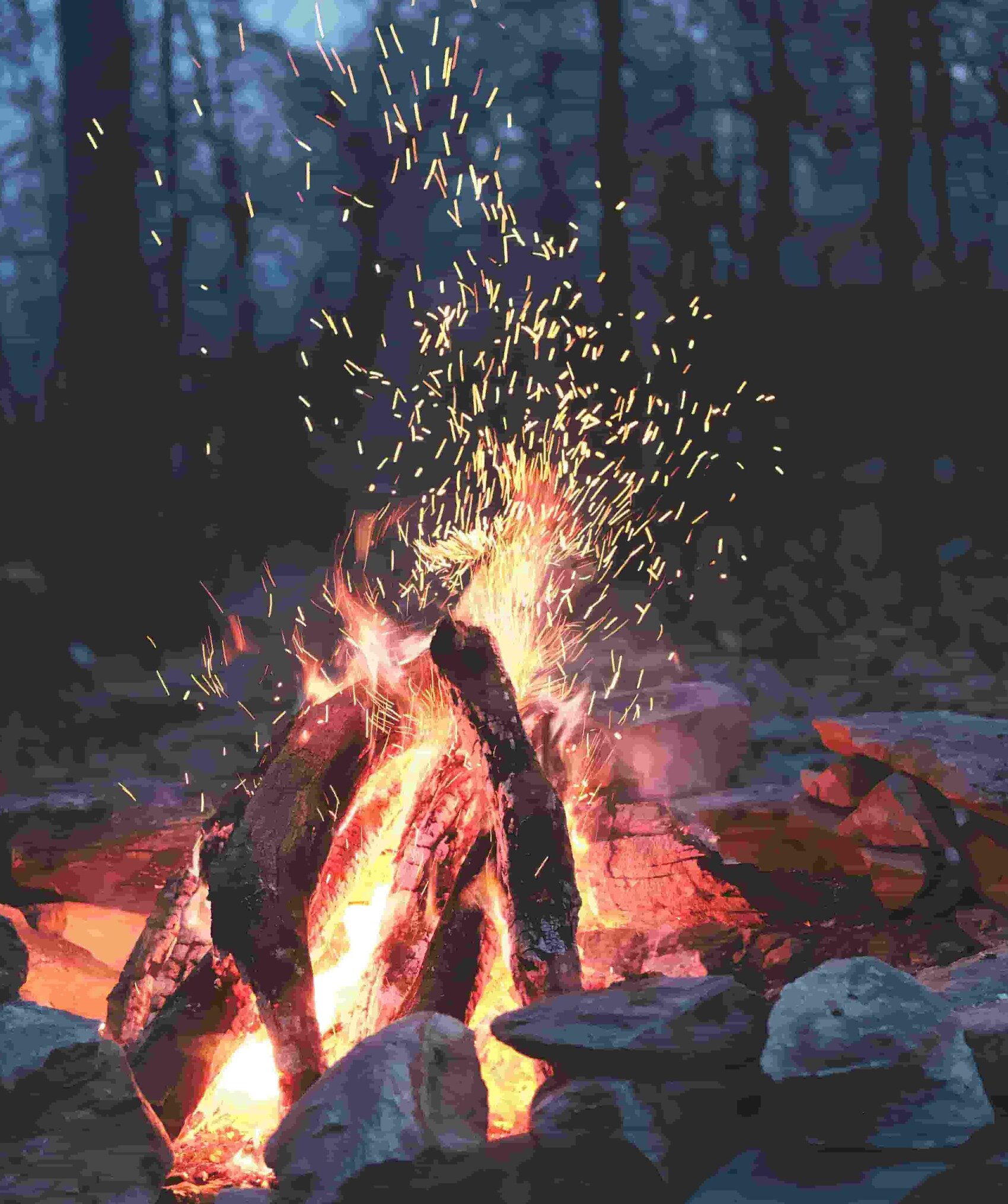 Beautiful campfire in the evening surrounded by trees