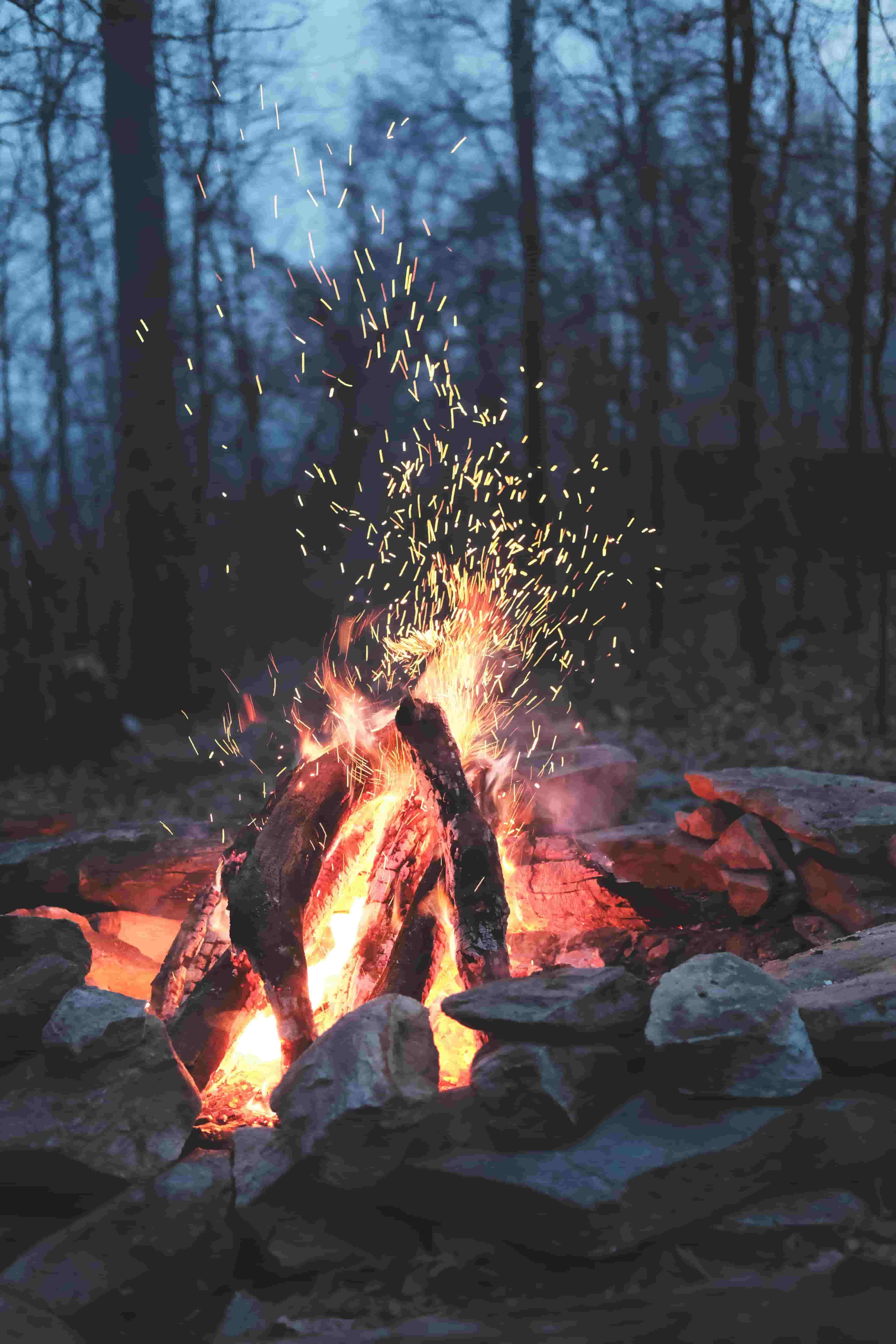 Beautiful campfire in the evening surrounded by trees